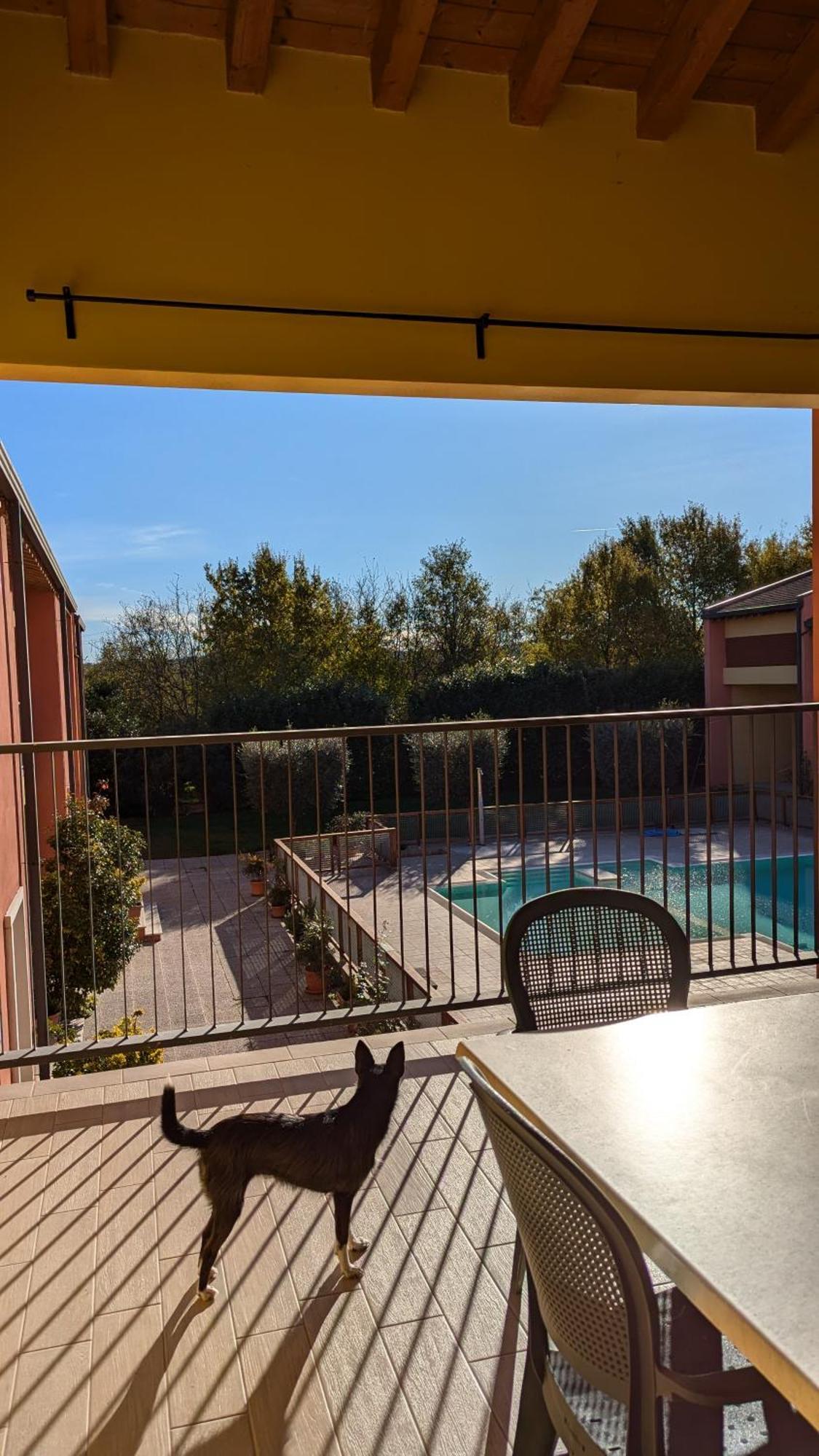 Agriturismo Ai Tre Fienili Ponti sul Mincio Buitenkant foto